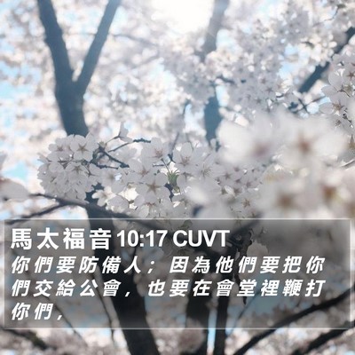 馬 太 福 音 10:17 CUVT Bible Verse Image