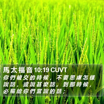 馬 太 福 音 10:19 CUVT Bible Verse Image