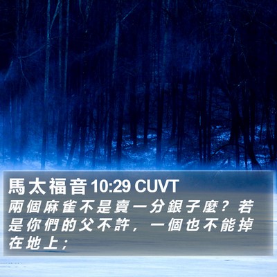 馬 太 福 音 10:29 CUVT Bible Verse Image