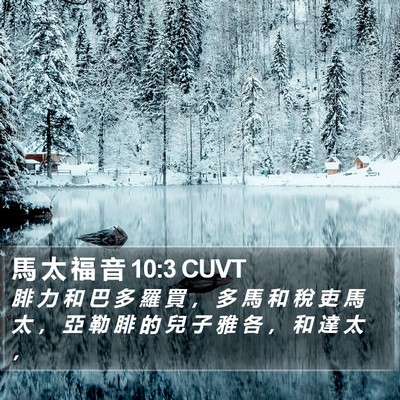 馬 太 福 音 10:3 CUVT Bible Verse Image