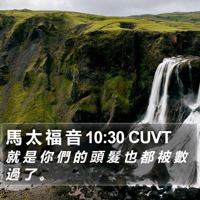 馬 太 福 音 10:30 CUVT Bible Verse Image