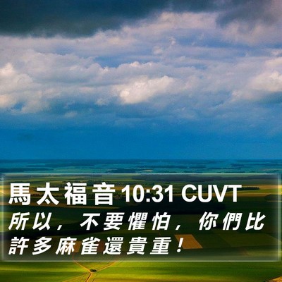 馬 太 福 音 10:31 CUVT Bible Verse Image