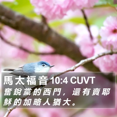 馬 太 福 音 10:4 CUVT Bible Verse Image