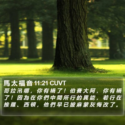 馬 太 福 音 11:21 CUVT Bible Verse Image