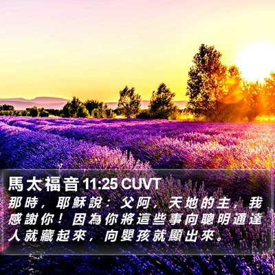 馬 太 福 音 11:25 CUVT Bible Verse Image