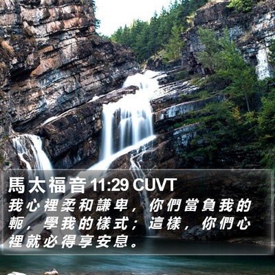 馬 太 福 音 11:29 CUVT Bible Verse Image