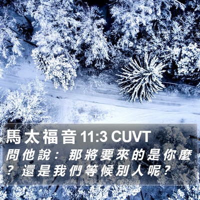 馬 太 福 音 11:3 CUVT Bible Verse Image