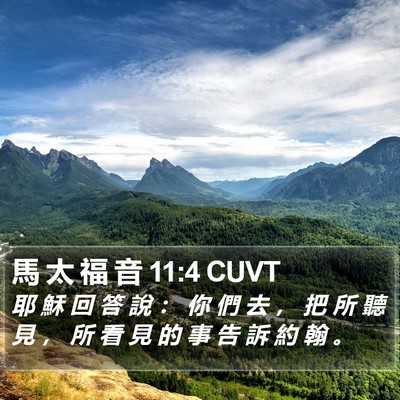馬 太 福 音 11:4 CUVT Bible Verse Image