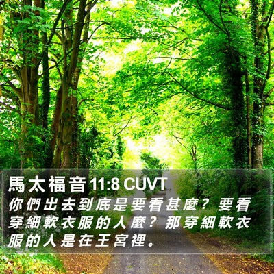 馬 太 福 音 11:8 CUVT Bible Verse Image