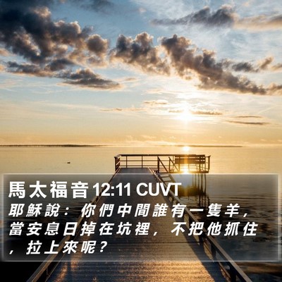 馬 太 福 音 12:11 CUVT Bible Verse Image