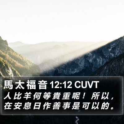 馬 太 福 音 12:12 CUVT Bible Verse Image