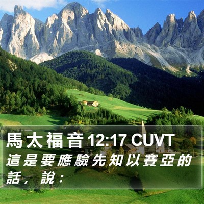 馬 太 福 音 12:17 CUVT Bible Verse Image