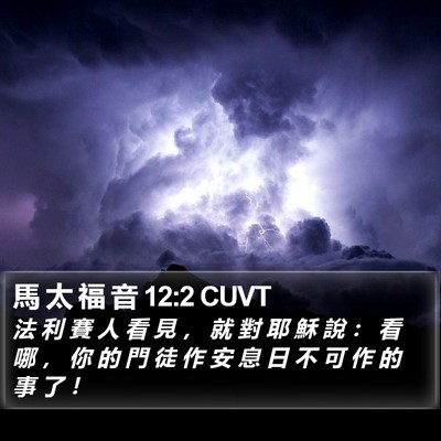 馬 太 福 音 12:2 CUVT Bible Verse Image