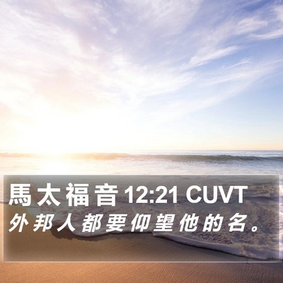 馬 太 福 音 12:21 CUVT Bible Verse Image