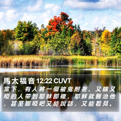 馬 太 福 音 12:22 CUVT Bible Verse Image