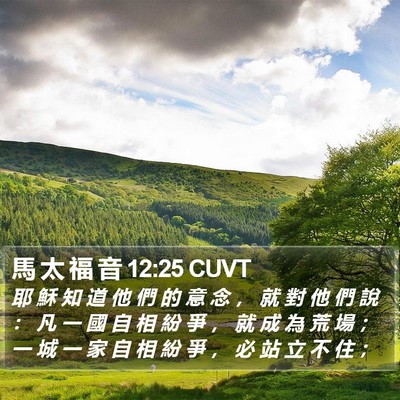 馬 太 福 音 12:25 CUVT Bible Verse Image