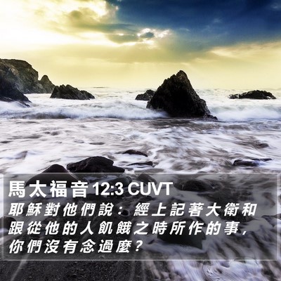 馬 太 福 音 12:3 CUVT Bible Verse Image