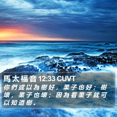 馬 太 福 音 12:33 CUVT Bible Verse Image