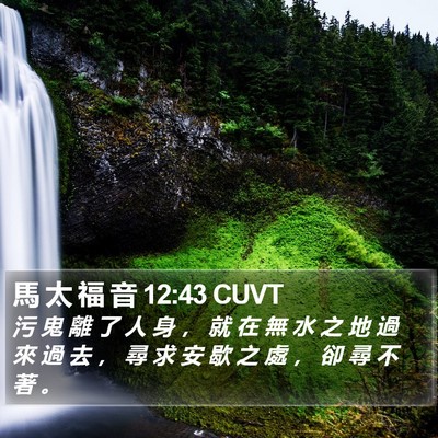 馬 太 福 音 12:43 CUVT Bible Verse Image