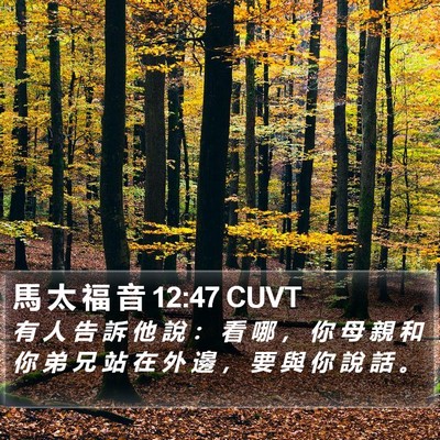 馬 太 福 音 12:47 CUVT Bible Verse Image