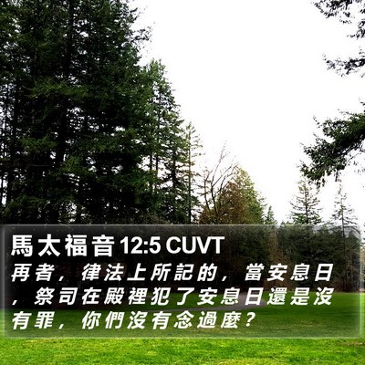 馬 太 福 音 12:5 CUVT Bible Verse Image