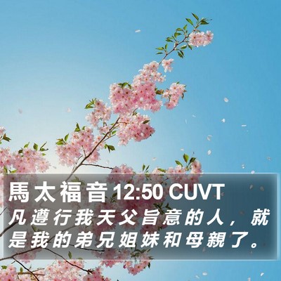 馬 太 福 音 12:50 CUVT Bible Verse Image