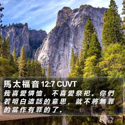 馬 太 福 音 12:7 CUVT Bible Verse Image