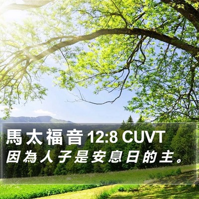 馬 太 福 音 12:8 CUVT Bible Verse Image