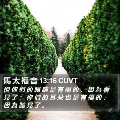 馬 太 福 音 13:16 CUVT Bible Verse Image
