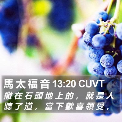 馬 太 福 音 13:20 CUVT Bible Verse Image