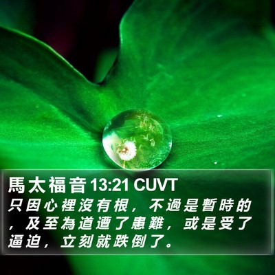 馬 太 福 音 13:21 CUVT Bible Verse Image