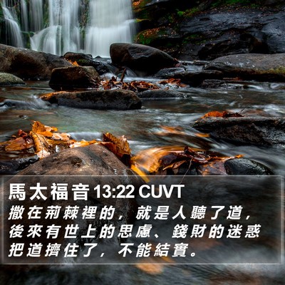馬 太 福 音 13:22 CUVT Bible Verse Image
