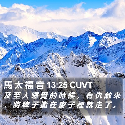 馬 太 福 音 13:25 CUVT Bible Verse Image