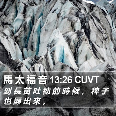 馬 太 福 音 13:26 CUVT Bible Verse Image