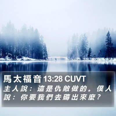 馬 太 福 音 13:28 CUVT Bible Verse Image