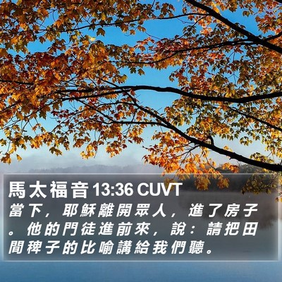 馬 太 福 音 13:36 CUVT Bible Verse Image