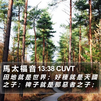 馬 太 福 音 13:38 CUVT Bible Verse Image