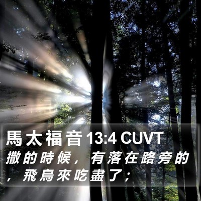 馬 太 福 音 13:4 CUVT Bible Verse Image