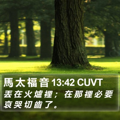 馬 太 福 音 13:42 CUVT Bible Verse Image