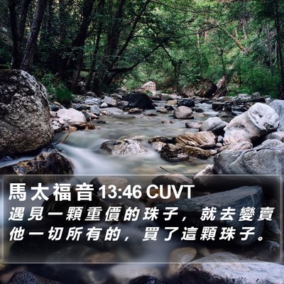 馬 太 福 音 13:46 CUVT Bible Verse Image