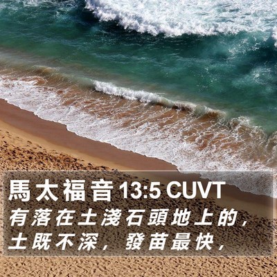 馬 太 福 音 13:5 CUVT Bible Verse Image