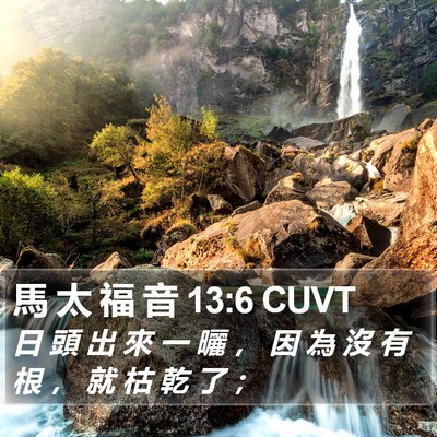 馬 太 福 音 13:6 CUVT Bible Verse Image