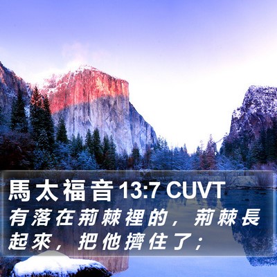 馬 太 福 音 13:7 CUVT Bible Verse Image