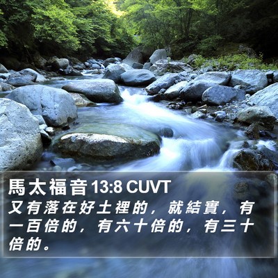 馬 太 福 音 13:8 CUVT Bible Verse Image