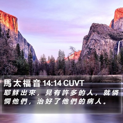 馬 太 福 音 14:14 CUVT Bible Verse Image