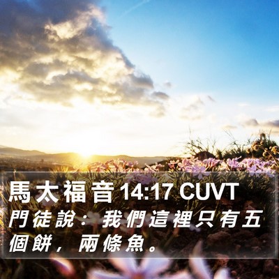 馬 太 福 音 14:17 CUVT Bible Verse Image