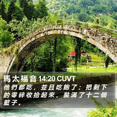 馬 太 福 音 14:20 CUVT Bible Verse Image
