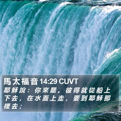 馬 太 福 音 14:29 CUVT Bible Verse Image