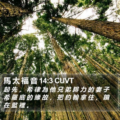 馬 太 福 音 14:3 CUVT Bible Verse Image