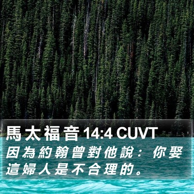 馬 太 福 音 14:4 CUVT Bible Verse Image